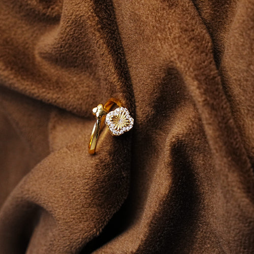 Anillo-1