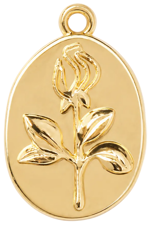 Placa tulipan
